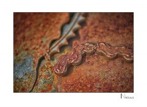 Detail aus der Skulptur "Krakenauto" von Sigi Ulmer im Buchheim Museum, Bernried